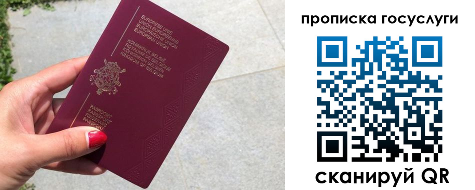 временная регистрация для школы в Волхове