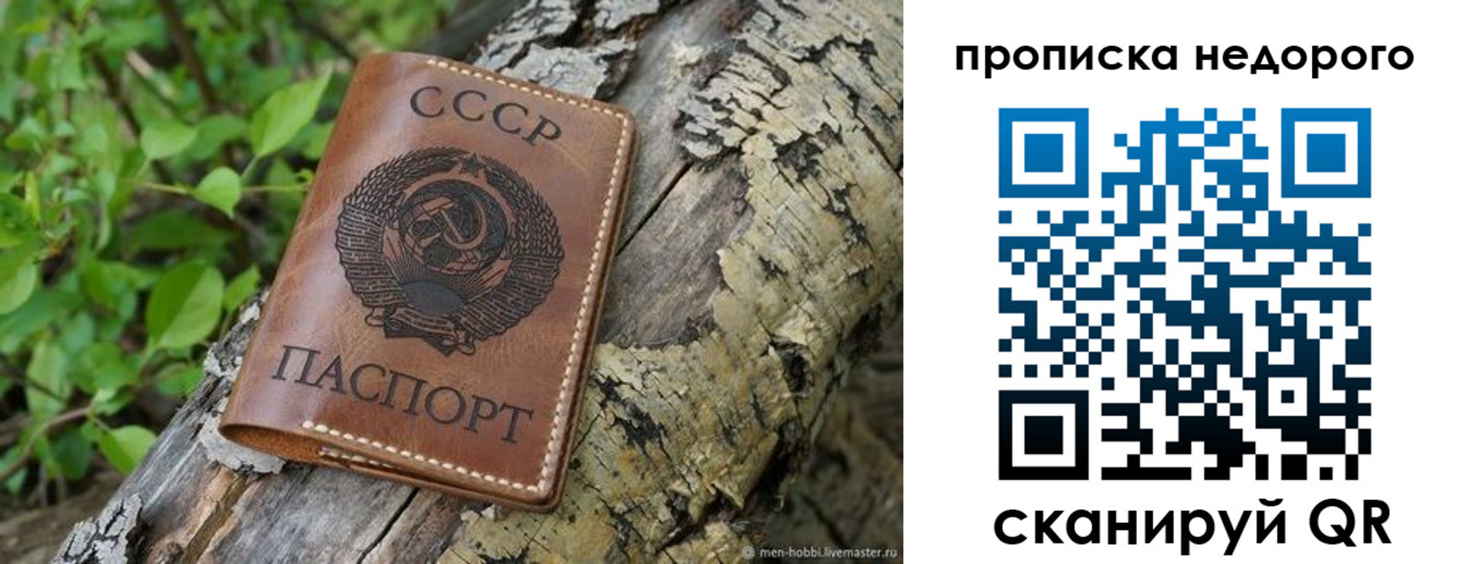 где прописаться в Волхове